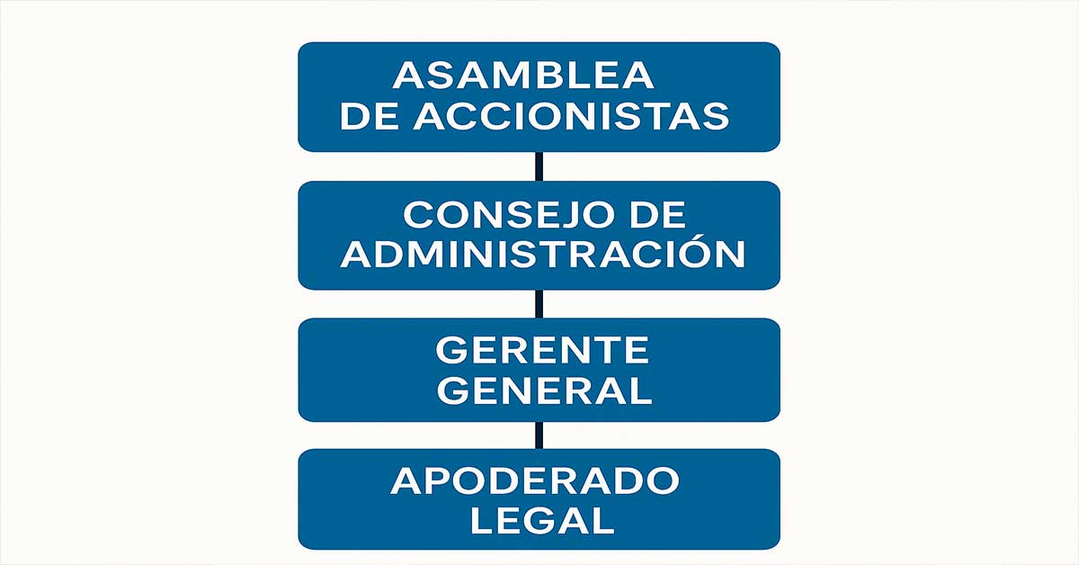 Estructura de una sociedad anonima
